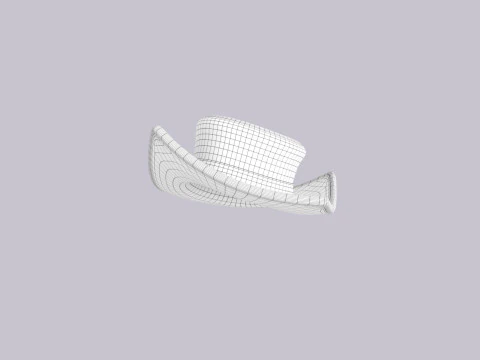 Hat458 3D Model