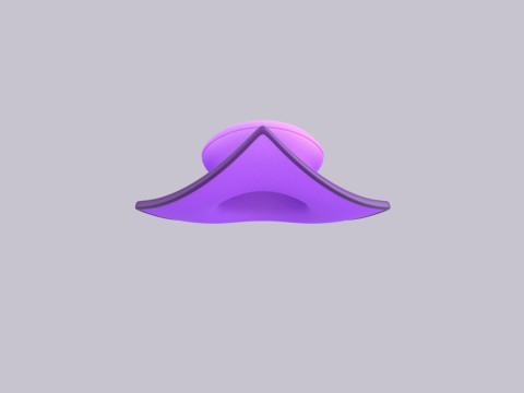 Hat460 Modèle 3D