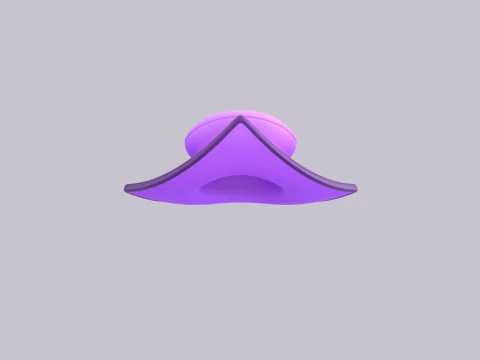 Hat460 3D Model