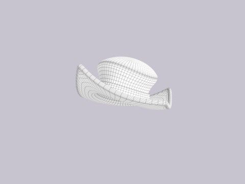 Hat460 Modèle 3D