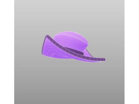 Hat460 3D Model
