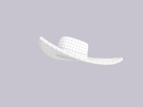 Hat461 3D Model