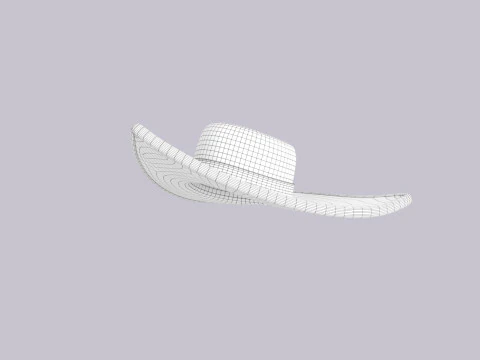 Hat461 3D Model