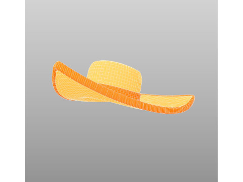 Hat461 3D Model