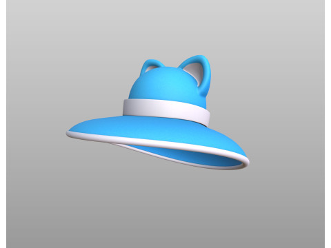 Hat465 Model 3D