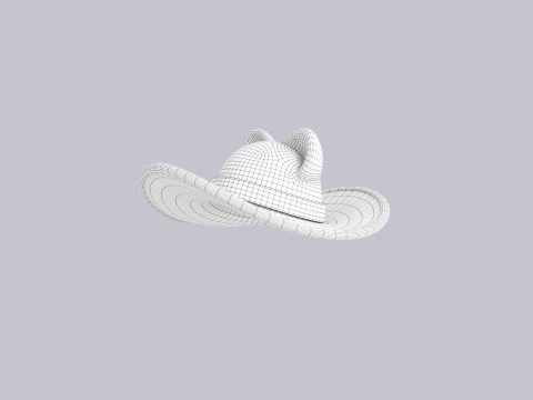 Hat466 3D Model