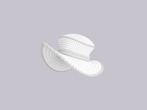 Hat475 3D Model