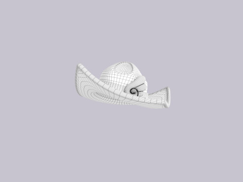 Hat476 Modèle 3D