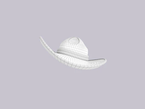 Hat479 3D Model