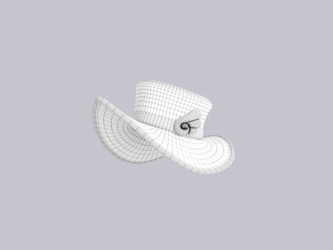 Hat481 3D Model