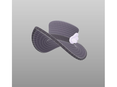 Hat481 3D Модель