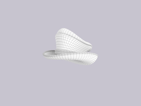 Hat485 3D 模型