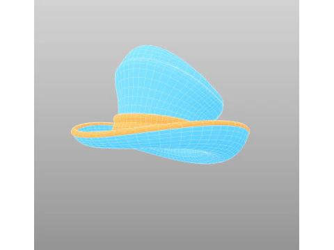Hat485 3D Model