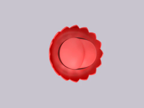 Hat486 3D Model