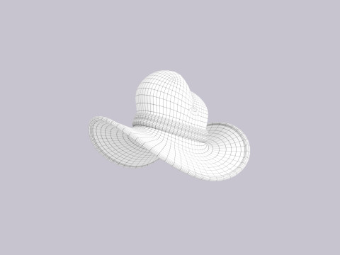 Hat487 3D Model