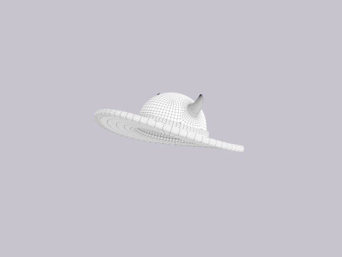 Cappello488 Modello 3D