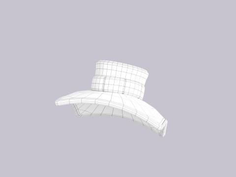 Hat489 Model 3D
