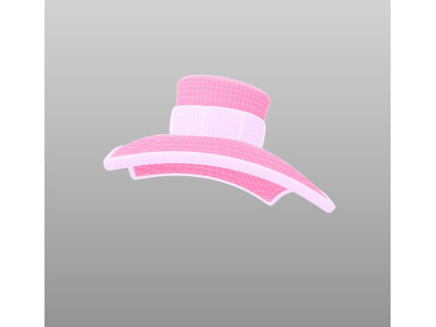 Hat489 Model 3D