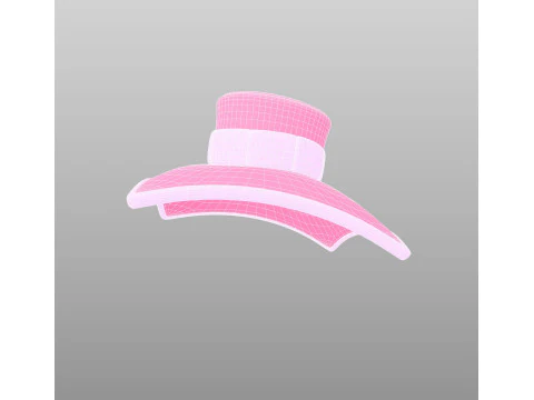 Hat489 3D Model