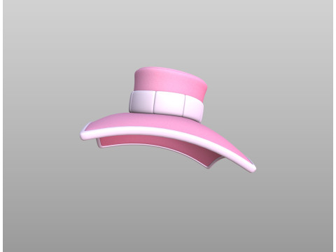 Hat489 Model 3D