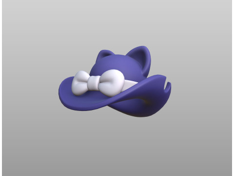 Hat491 Modelo 3D