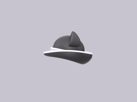 Hat495 Modello 3D