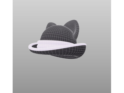Hat495 Modello 3D