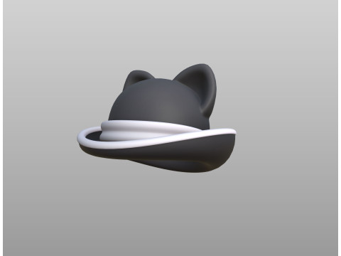 Hat495 Modello 3D
