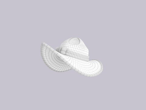 Hat498 3D Model