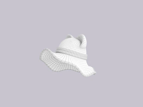 Hat500 3D Model