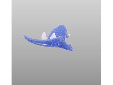Hat501 3D Model