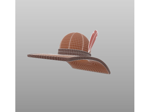 Hat502 3D मॉडल