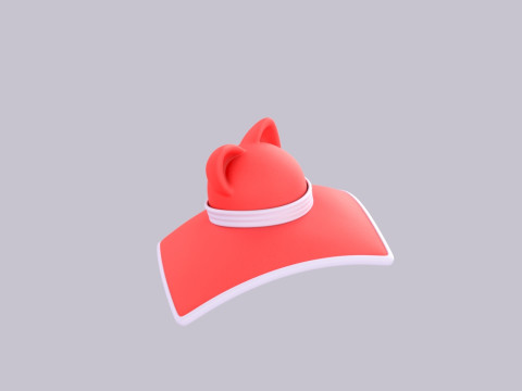 Hat503 Model 3D