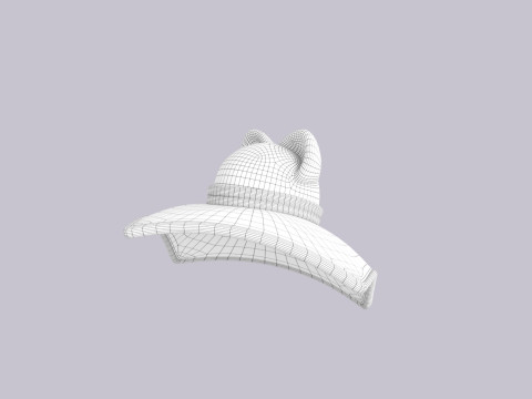Hat503 Model 3D