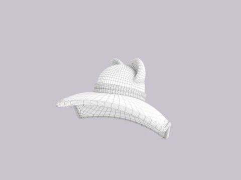 Hat503 3D Model