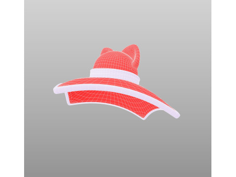 Hat503 Model 3D