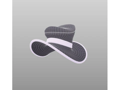 Hat504 3D Model