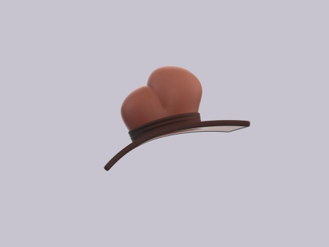 Hat505 3D Model
