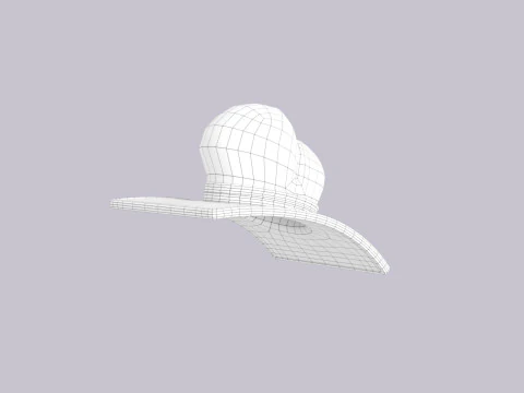 Hat505 3D Model
