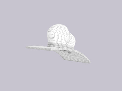 Hat505 3D Model
