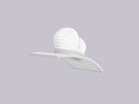 Hat505 3D Model