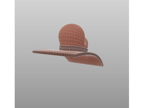 Hat505 3D Model