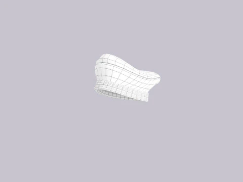 Hat506 3D Model