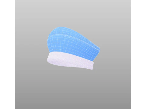 Hat506 3D Model