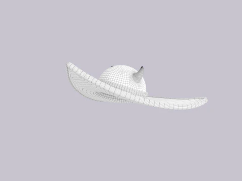 Hat507 3D Model