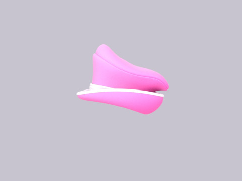Hat511 3D Model