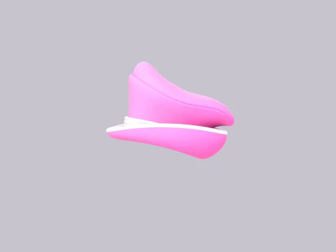 Hat511 3D Model