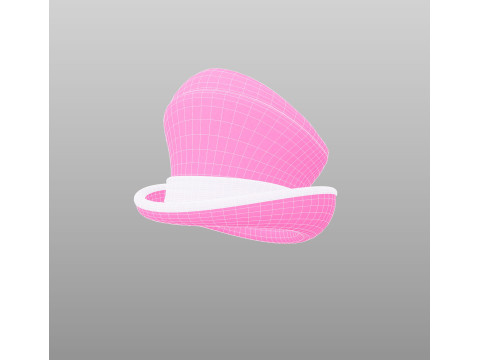 Hat511 3D Model