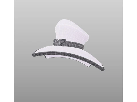 Hat513 3D Model