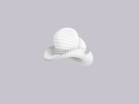 Hat515 3D Model
